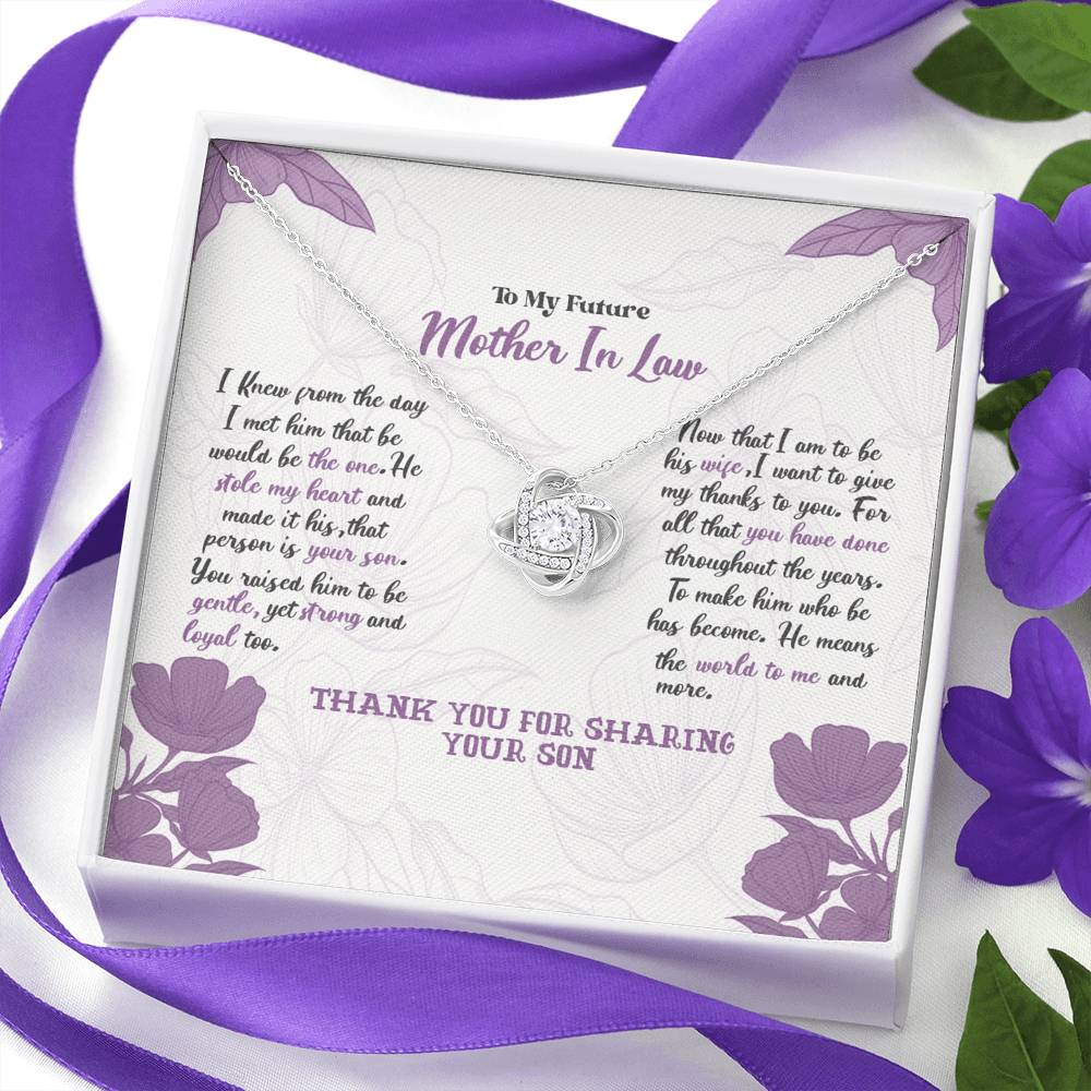 Mother-In-Law - He Means The World To Me